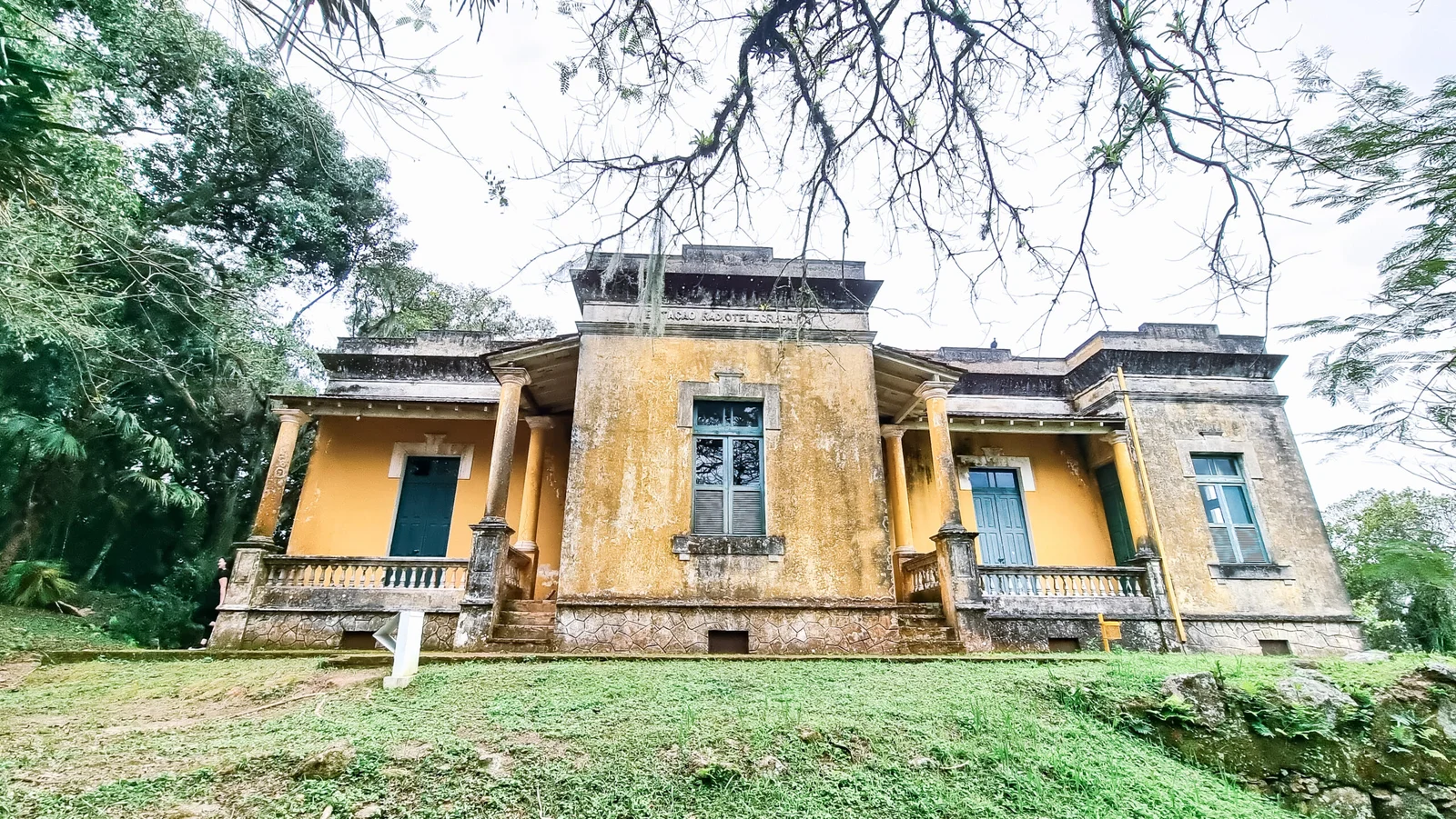 Golfinhos em Floripa